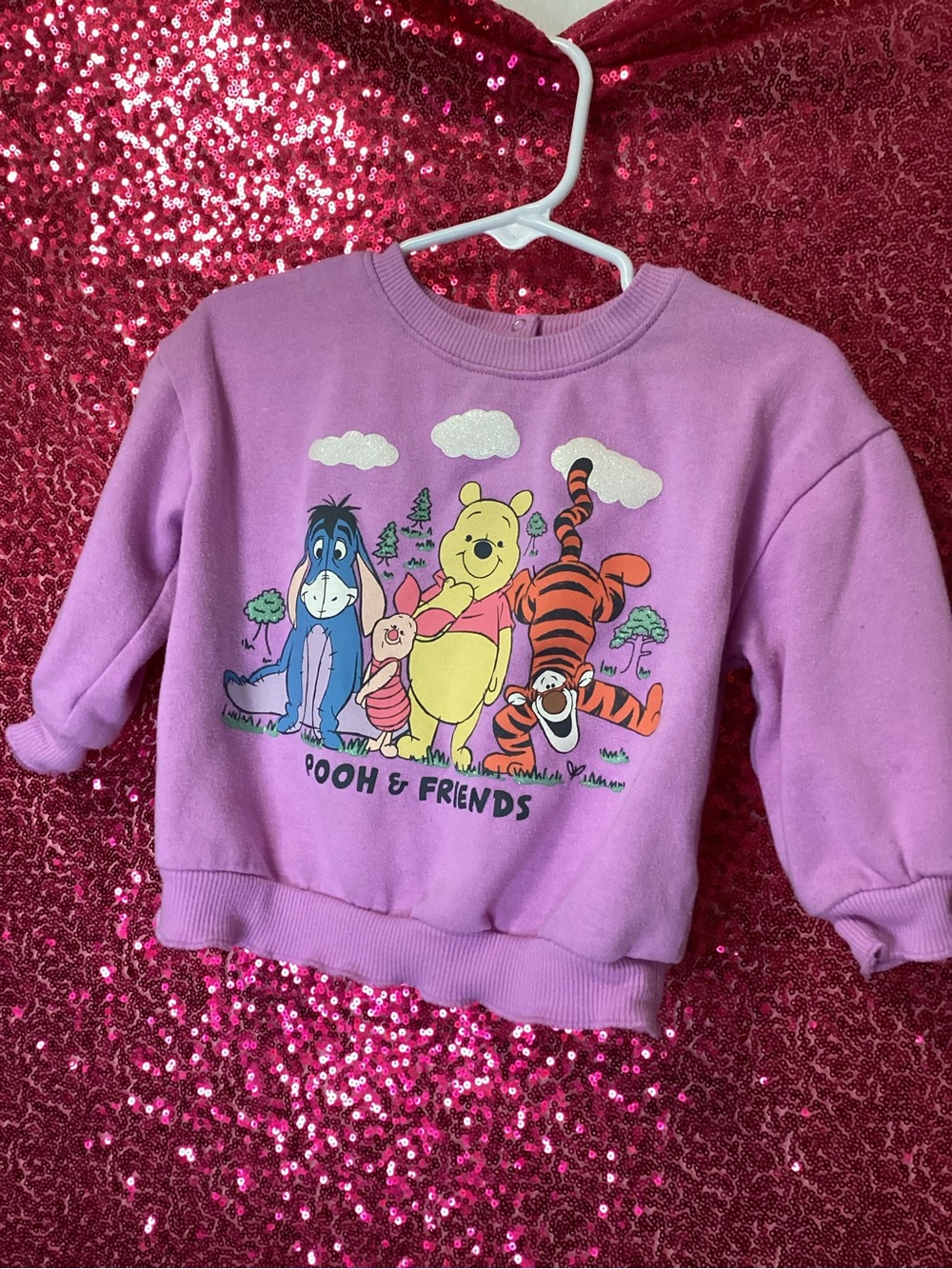 Disney Lavender Pooh & Friends Kids Sweatshirt